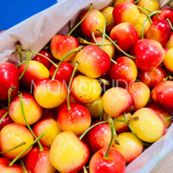 Suncrest Orchards Ferrador White Cherries Suncrest Orchards Ferrador White Cherries