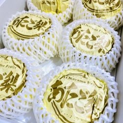 Atago Nashi Pear Atago Nashi Pear