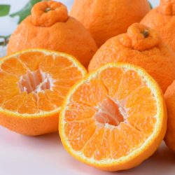 Japanese Dekopon Orange