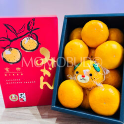 Japanese Ehime Mican Mikan (Mandarin Orange) Red Gift Box (1.2kg)