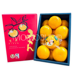 Japanese Ehime Mican Mikan (Mandarin Orange) Red Gift Box (1.2kg)