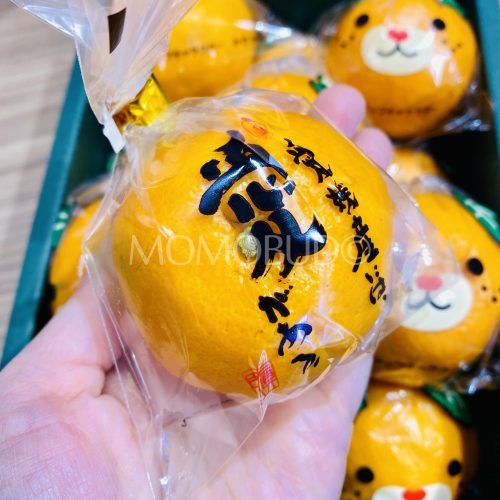 Japanese Ehime Mican Mikan Mandarin Orange Red T Box 12kg — Momobud 4720