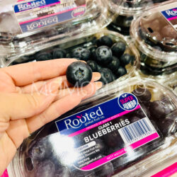 South African Rooted Super Jumbo Blueberry