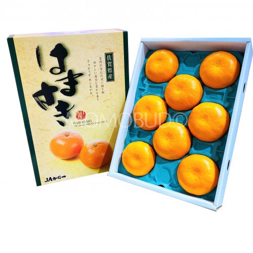 Japanese Hamasaki Mikan Gift Box (3kg)