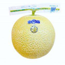 Japanese Princess Nina Muskmelon