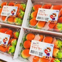 Korean Seolhyang Strawberry 500g punnets