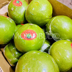 [Premium Selection] Tenom Sabah White Pomelos