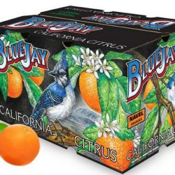 BlueJay Navel Orange Box