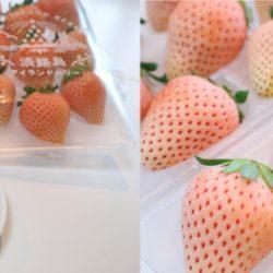 Japanese Awaji Island Berry Strawberry