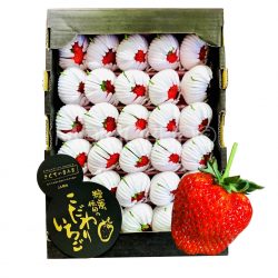 Japanese Kikuchi no Manma Hinoshizuku Strawberry 1kg Gift Box