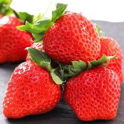 Japanese Kikuchi no Manma Hinoshizuku Strawberry