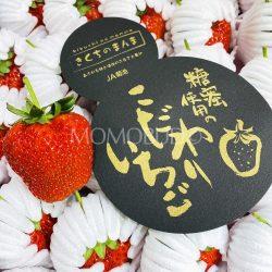 Japanese Kikuchi no Manma Hinoshizuku Strawberry