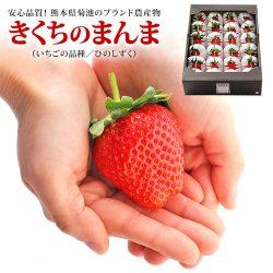 Japanese Kikuchi no Manma Hinoshizuku Strawberry in hand