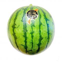 Japanese Yabuzuka Kodama Watermelon