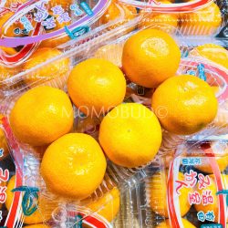 Japanese Arida House Mikan Japanese Arida House Mikan