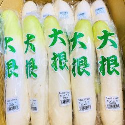 Japanese Daikon Japanese Daikon