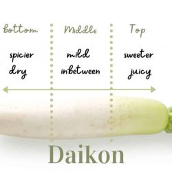 Japanese Daikon Taste Indication Japanese Daikon Taste Indication