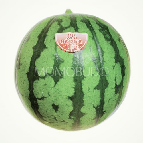 Japanese Gunma Hitorijime Watermelon Japanese Gunma Hitorijime Watermelon