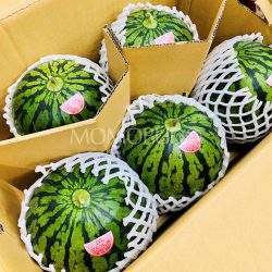 Japanese Gunma Hitorijime Watermelon Box 8kg Japanese Gunma Hitorijime Watermelon Box 8kg