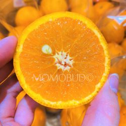 Japanese Kara Mandarin cross section Japanese Kara Mandarin cross section