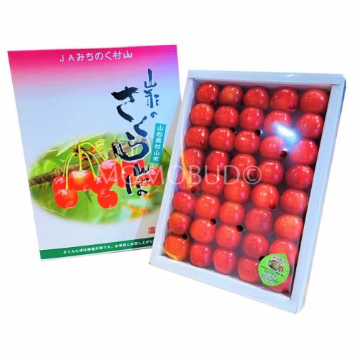 Japanese Yamagato Sato Nishiki Sakurabon Cherry Gift Box 300g Tokushu Grade