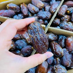 Super Jumbo Jordan River Medjool Date