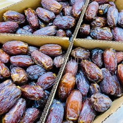 Super Jumbo Jordan River Medjool Dates 1