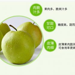 Jade Dew Pear Poster