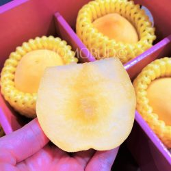 China Honey White Yellow Peach cross section China Honey White Yellow Peach cross section