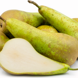 Conference Pear Conference Pear