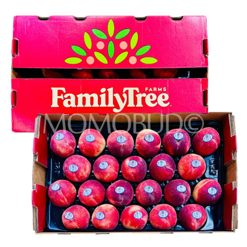 Family Tree Farms® Holly White Peach Box Family Tree Farms® Holly White Peach Box
