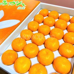 Japanese Arida House Mikan Gift Box 2.5kg 1
