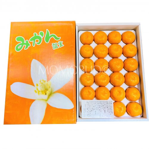 Japanese Arida House Mikan Gift Box 2.5kg
