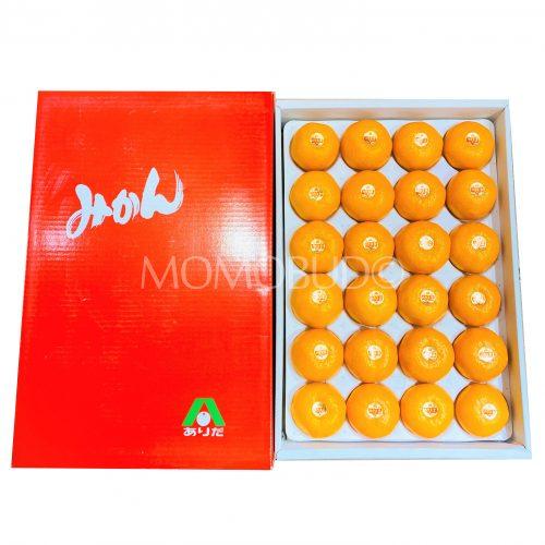 Japanese Arida House Mikan Gift Box 2.5kg red box