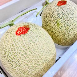 Japanese Orange Heart Muskmelon