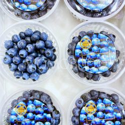 Ehime Blueberry Tray
