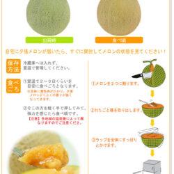How to Cut Japanese Yubari King Red Muskmelon