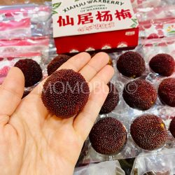 [Premium Selection] Xianju Waxberry