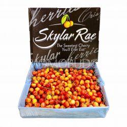 Washington Skylar Rae® Cherry Box 4kg
