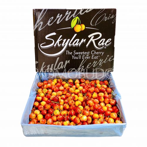 Washington Skylar Rae® Cherry Box 4kg