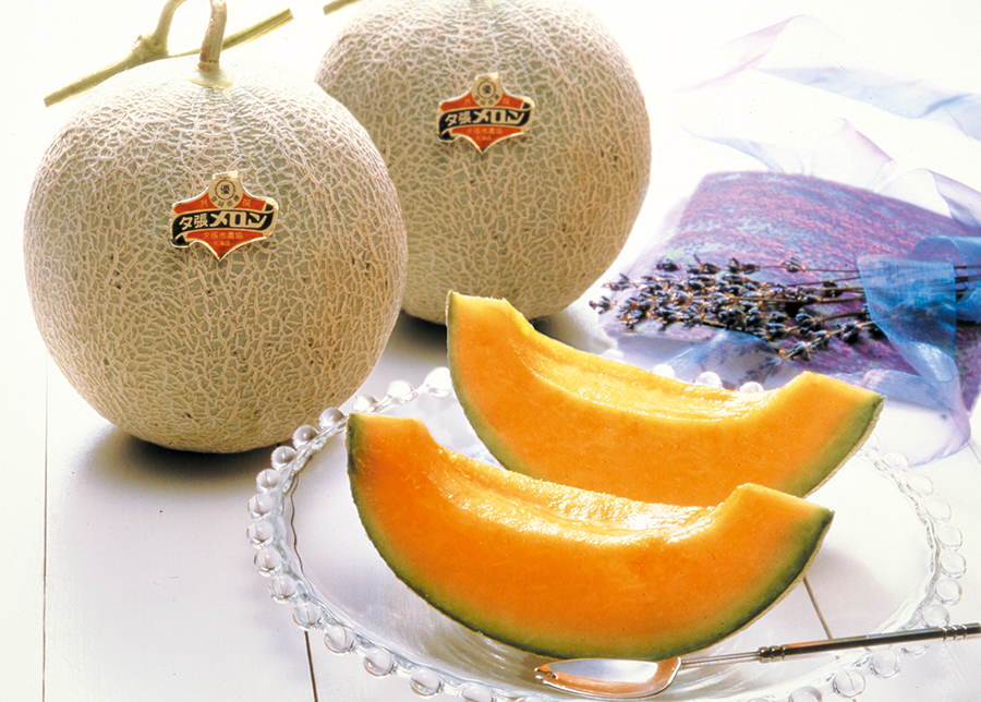 Japanese Yubari Red Muskmelon — MomoBud