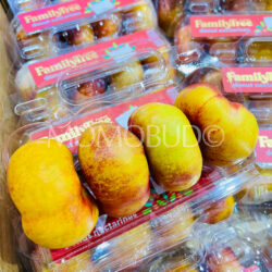 Family Tree Farms® Necta Pie Donut Yellow Nectarines Family Tree Farms® Necta Pie Donut Yellow Nectarines