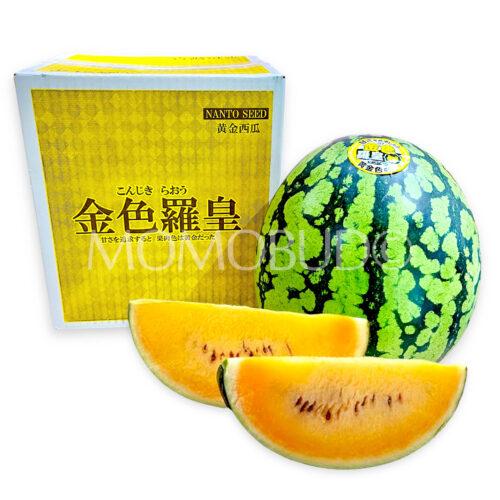 Japanese Gunma Konjiki Raou Golden Watermelon Gift Box