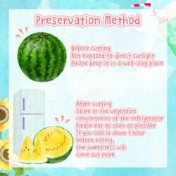 Japanese Gunma Konjiki Raou Golden Watermelon storage english version