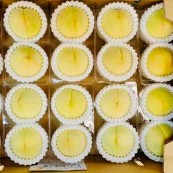 Japanese Shirobijin White Peach (300g, 2pcs punnet)