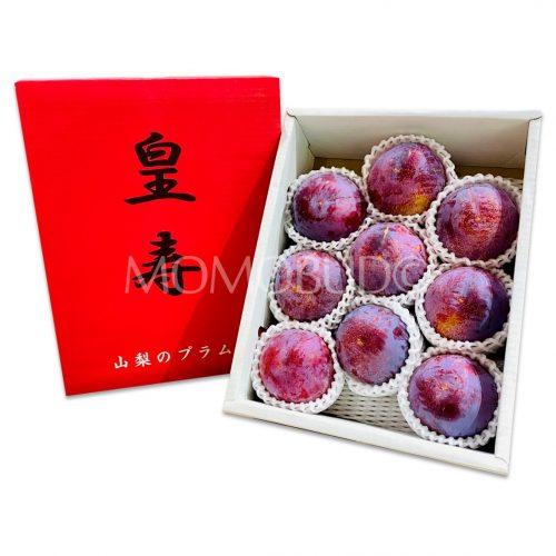 Japanese Yamanashi Koujyu Plum Gift Box 1.5kg