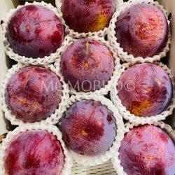 Japanese Yamanashi Koujyu Plums