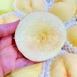 Okayama Shimizu White Peach cross section