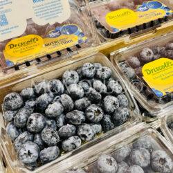 Peru Driscoll’s Super Jumbo Blueberry 300g punnets