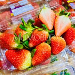 South African Primore Florida Fortuna Strawberry cross section